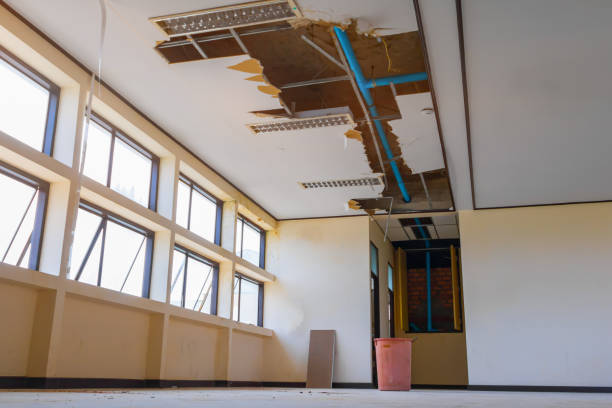 Best 24/7 water damage repair  in Decatur, TX