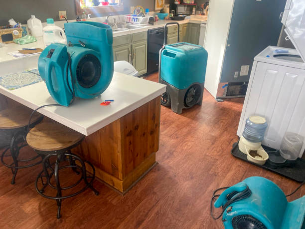 Best Carpet water damage restoration  in Decatur, TX