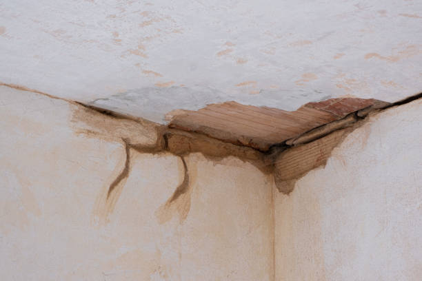 Best Professional water damage repair  in Decatur, TX
