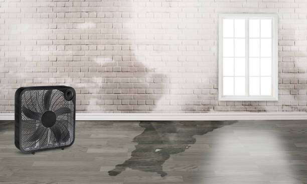 Best Ceiling water damage repair  in Decatur, TX