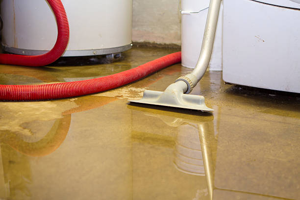 Best Water damage restoration mold remediation  in Decatur, TX