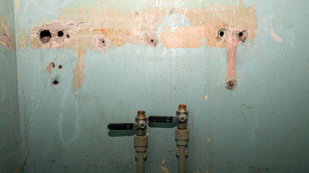Best Mold removal after water damage  in Decatur, TX